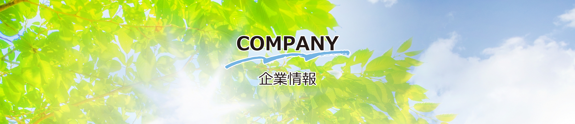 企業情報